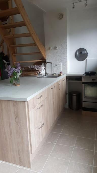 Beau Duplex Lumineux A La Montagne Nice Flat Just Underneath Mtblanc 莱苏什 外观 照片